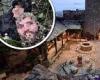 I'm A Celebrity camp intruders share brazen pictures from inside Gwrych Castle