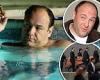 HBO 'concerned' about Sopranos star James Gandolfini 'staying alive' due to ...