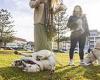 City of Sydney Lord Mayoral candidate Yvonne Weldon back push to allow dogs on ...