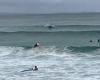 Ripping with Flipper! Dolphins join Australian surfers riding the waves at ...