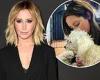 Ashley Tisdale mourns loss of her family's dog Blondie