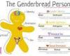 Civil servants are shown disputed 'genderbread person' graphic in presentation