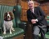 Drugs sniffer dogs could be introduced to Parliament to combat use in the heart ...