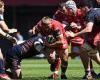 sport news Scarlets forfeit their Champions Cup clash with Bristol Bears