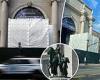 NYC's Museum of Natural History hides controversial Theodore Roosevelt statue ...