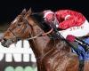 sport news Robin Goodfellow's Racing Tips: Best bets for Saturday, January 8