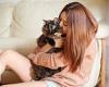 Can't afford to heat your house? Cuddle the cat, says Britain's third-biggest ...