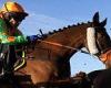 sport news Robin Goodfellow's Racing Tips: Best bets for Tuesday, January 11