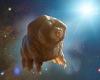 Scientists want to fire 'indestructible' Tardigrades to distant stars