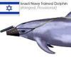 Hamas claims it has captured one of Israel's 'spying killer dolphins' that 'are ...