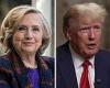 Hillary v Trump - the REMATCH: Two Democrat operatives say Clinton is the 'best ...