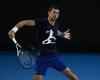 How Novak Djokovic's lawyers hit government with a NEW argument as star's ...