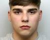 Schoolboy jailed for life for stabbing 16-year-old boy to death as he tried to ...
