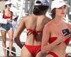 Olivia Culpo flaunts 'childhood-sculpted' abs in red bikini to cruise the Sea ...