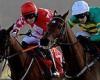 sport news Robin Goodfellow's Racing Tips: Best bets for Monday, January 17