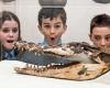 South Wales school finds the remains of a saltwater crocodile hidden under its ...