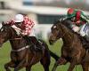 sport news Robin Goodfellow's Racing Tips: Best bets for Wednesday, January 19 