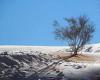 SNOW falls in the SAHARA as ice blankets the dunes in rare desert phenomenon