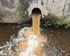 Water firms dumped untreated sewage in rivers across England more than 3,000 ...