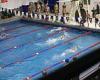 UPenn swimmer accuses trans teammate Lia Thomas' of plot to LOSE against ...