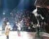 German circus performer crashes 20ft to the floor when rollerblade leap goes ...