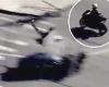 Shocking moment motorcyclist fleeing LAPD at 130mph is killed in head-on ...