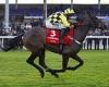 sport news Nicky Henderson's Shishkin looks to land early blow over Willie Mullins' ...