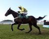 sport news Robin Goodfellow's racing tips: Best bets for Saturday, January 22 