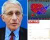 Fauci predicts most of US will hit Omicron peak within WEEKS as infections drop ...