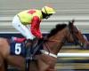 sport news Robin Goodfellow's Racing Tips: Best bets for Monday, January 24