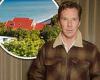 Benedict Cumberbatch detailed how he 'loved' lockdown after isolating with his ...