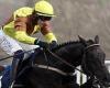 sport news Robin Goodfellow's racing tips: Best bets for Saturday, March 19