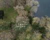 Staggering drone images reveal 11 heron nests perched on 100ft treetops at 17th ...