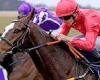 sport news Robin Goodfellow's racing tips: Best bets for Wednesday, April 13