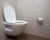 Defra mulls converting lavatory waste into tap water spending £53,000 to probe ...