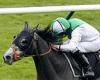 sport news Robin Goodfellow's racing tips: Best bets for Monday, May 2