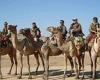 Laurence of Arabia: SAS ride CAMELS in fight against ISIS in Mali during ...