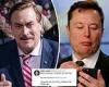 MyPillow CEO Mike Lindell rejoins Twitter one year after he was banned - just ...