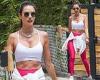 Alessandra Ambrosio shows off her tight abs in a bra top after a workout in Los ...