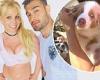 Britney Spears shares a hilarious clip of fiancé Sam Asghari and their puppy ...