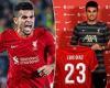 sport news Premier League: Liverpool ace Luis Diaz joins long list of January signings who ... trends now