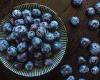Friday 13 May 2022 04:50 PM Half a cup of blueberries a day could stave off dementia in older adults, study ... trends now