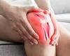 Tuesday 17 May 2022 01:19 AM Knee heat zapper to stop arthritis pain signals from reaching the brain trends now