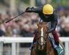 sport news Robin Goodfellow's racing tips: Best bets for Wednesday, May 18 trends now