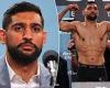 sport news Amir Khan claims 'curries' and the 'appalling diet' is to blame for Asians not ... trends now