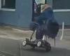 Friday 20 May 2022 01:28 PM Thrill-seeking mobility scooter rider stuns passers-by with impressive ... trends now