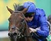 sport news Robin Goodfellow's racing tips: Best bets for Monday, May 23  trends now