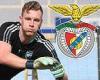sport news Arsenal keeper Bernd Leno is set to join Benfica for £8.5m after losing his ... trends now
