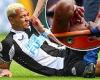 sport news Newcastle's Joelinton carried off on stretcher 10 minutes into final day win at ... trends now