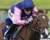 sport news Robin Goodfellow's racing tips: Best bets for Wednesday, May 25 trends now